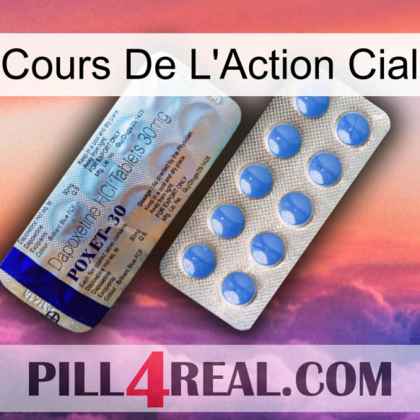 Cial Stock Price 39